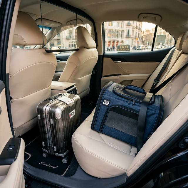 Transportin azul y maleta en el maletero de un taxi con mascota en Barcelona